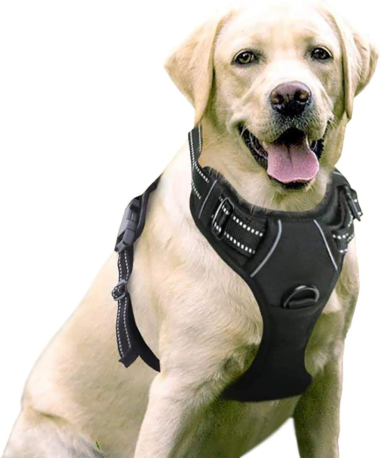 Arnés Antitirones rabbitgoo para Perros – Seguridad, Comodidad y Control Total