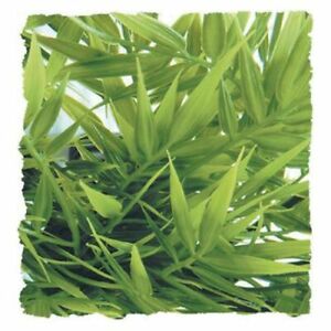/zoo-med-planta-artificial-bambu-para-terrarios_6a68a1d748431