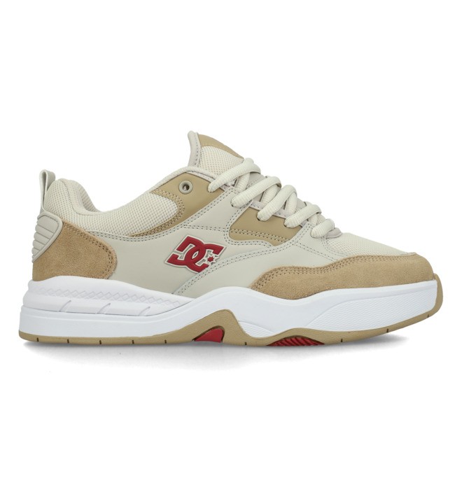 /dc-ascend--zapatillas-con-cordones-multi-hombre