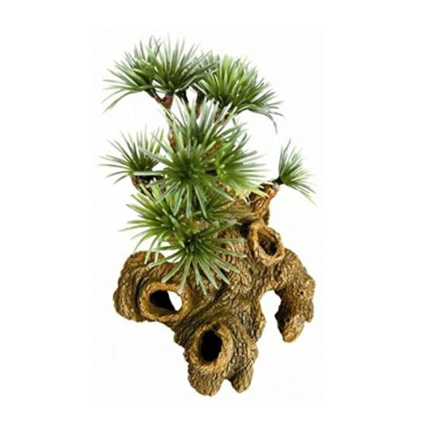 /zolux-nano-bonsai-para-decoracion-de-acuarios