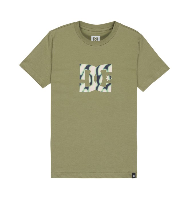 DC Star Filled - Camiseta de manga corta Verde Chicos 8-16