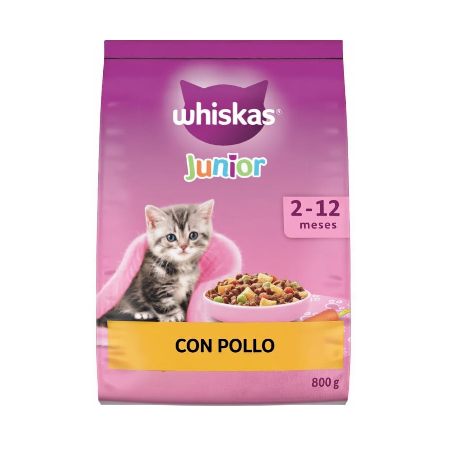800g Whiskas Junior Pollo pienso para gatos