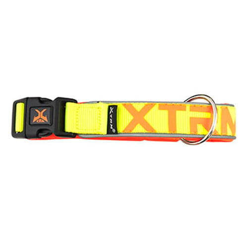 /x-trm-neon-flash-collar-limon-para-perros_6a68a26b06680