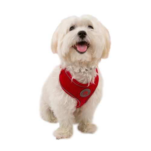 /tk-pet-soft-arnes-reflectante-rojo-para-perros