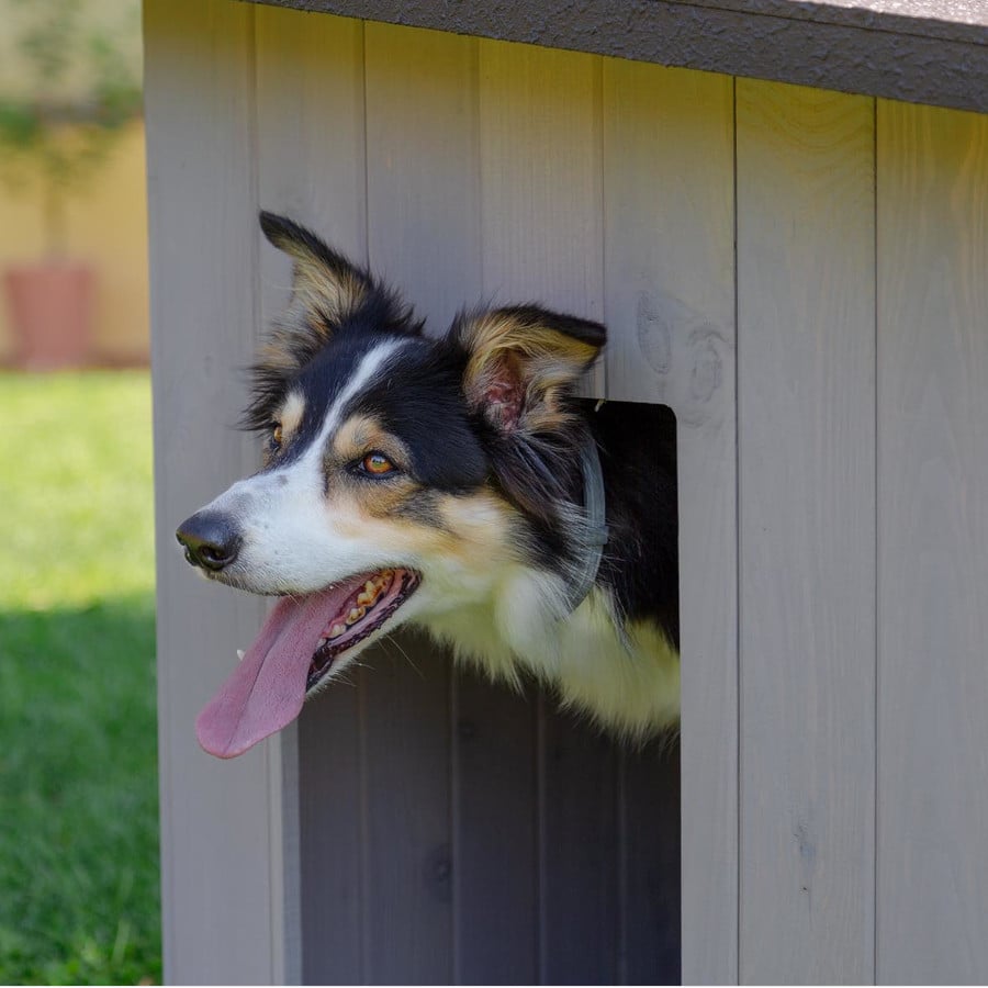 /tk-pet-lake-caseta-de-madera-para-perros