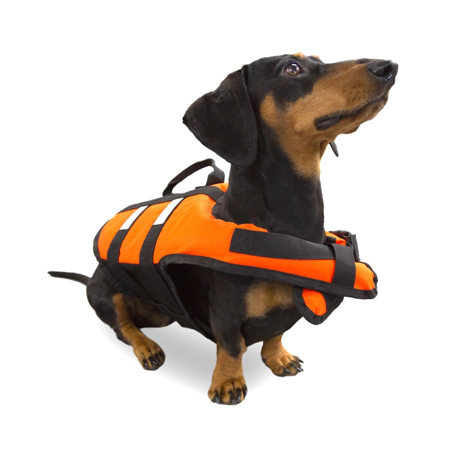 /tk-pet-chaleco-salvavidas-naranja-para-perros