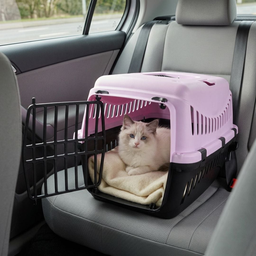 /tk-pet-senda-gipsy-morado-transportin-para-perros-y-gatos
