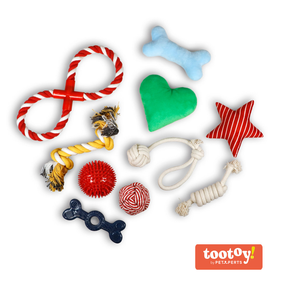 /tootoy-chew-exploration-toys--set-de-juguetes-para-cachorros