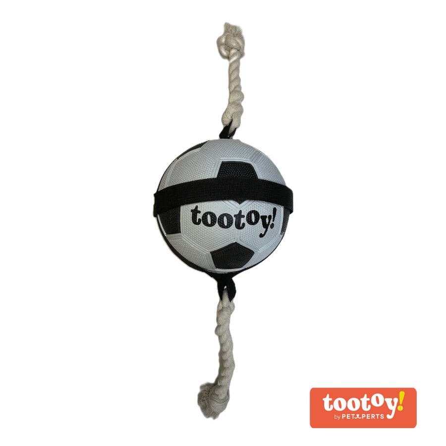 /tootoy-chase-large-football-pelota-para-perros