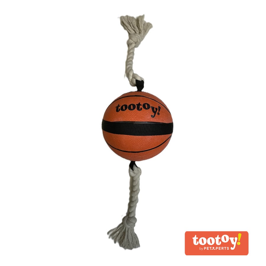 /tootoy-chase-large-basketball-pelota-para-perros