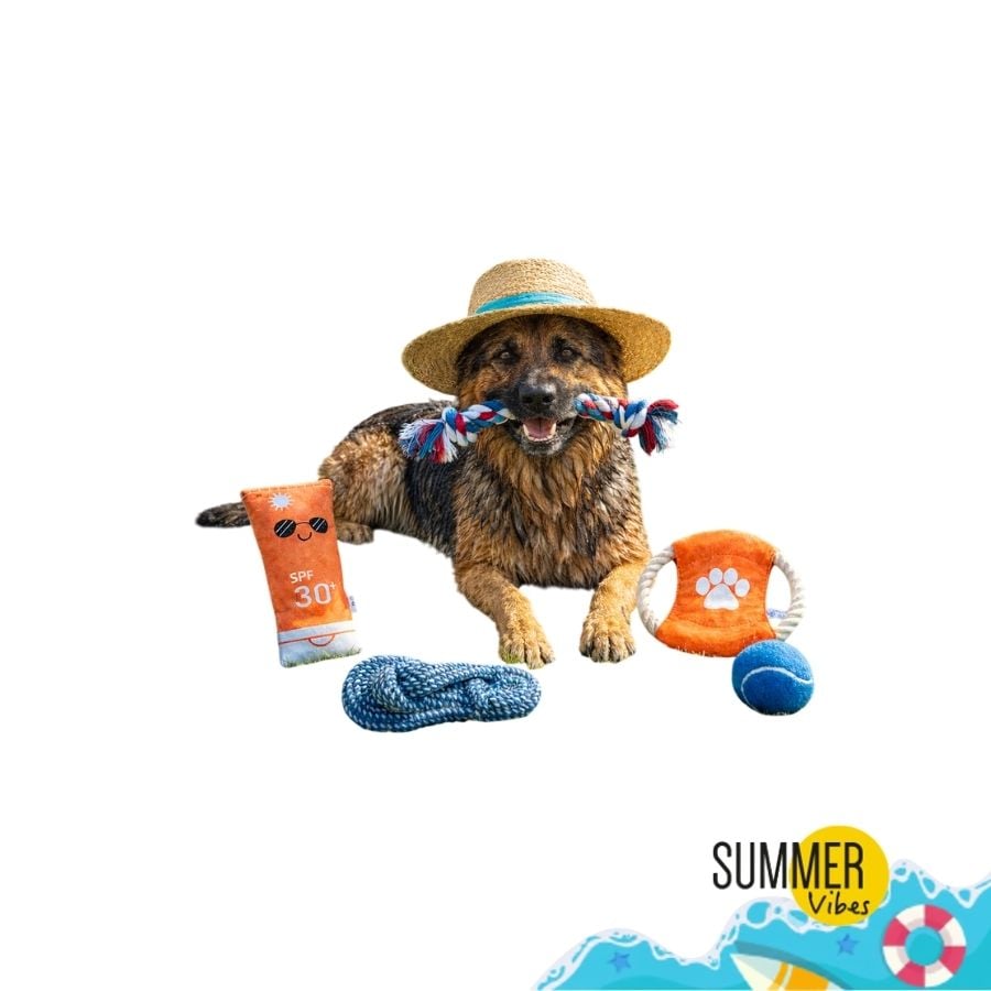 /summer-vibes-the-beach-club-set-juguetes-para-perros