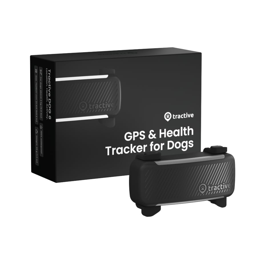 /tractive-gps-dog-6-negro-rastreador-para-perros