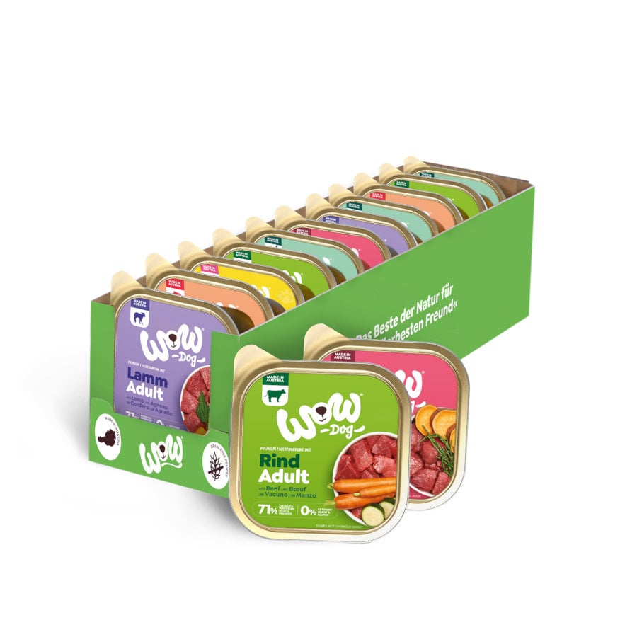 /11-tarrinas-x-150-g-wow-food-adulto-tarrina-para-perros--multipack