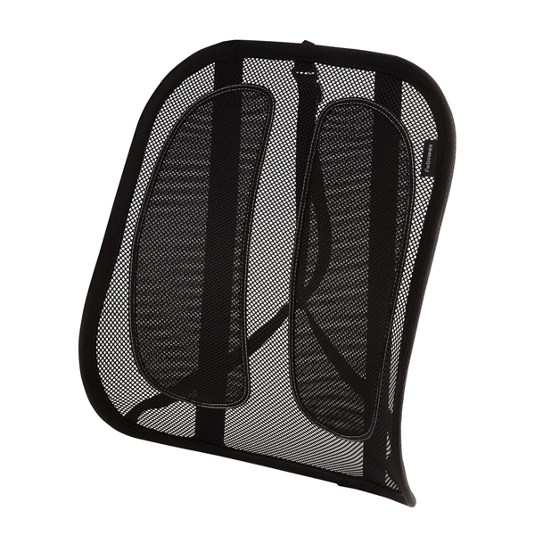 /ergonomic-mesh-back-support