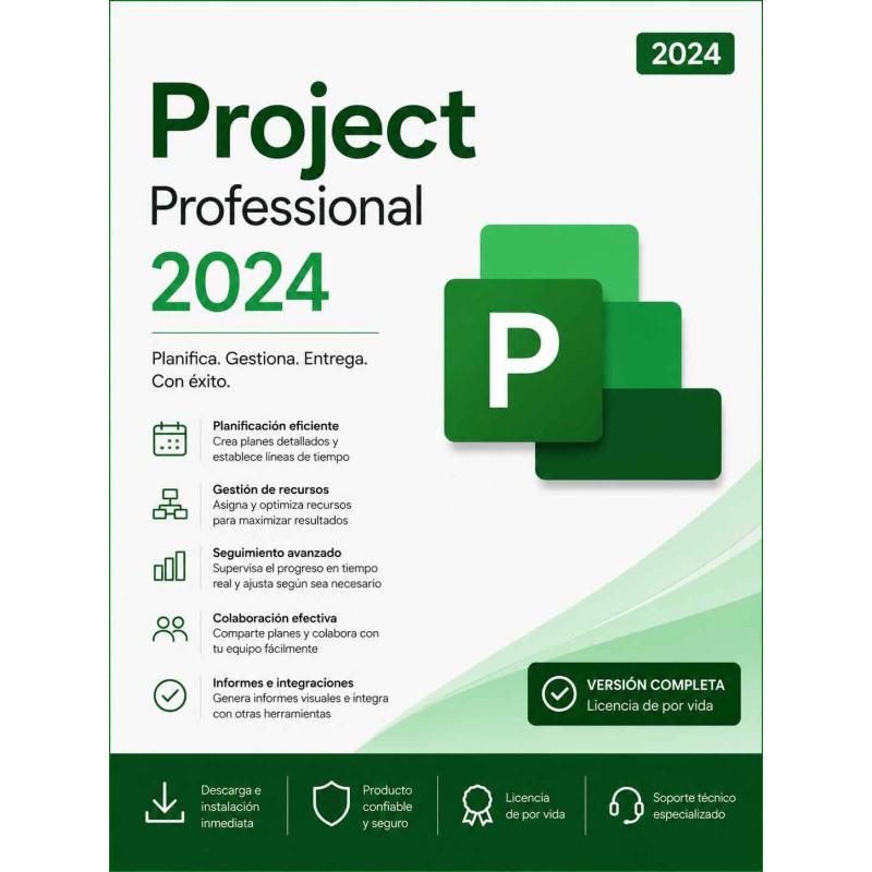 /project-professional-2024