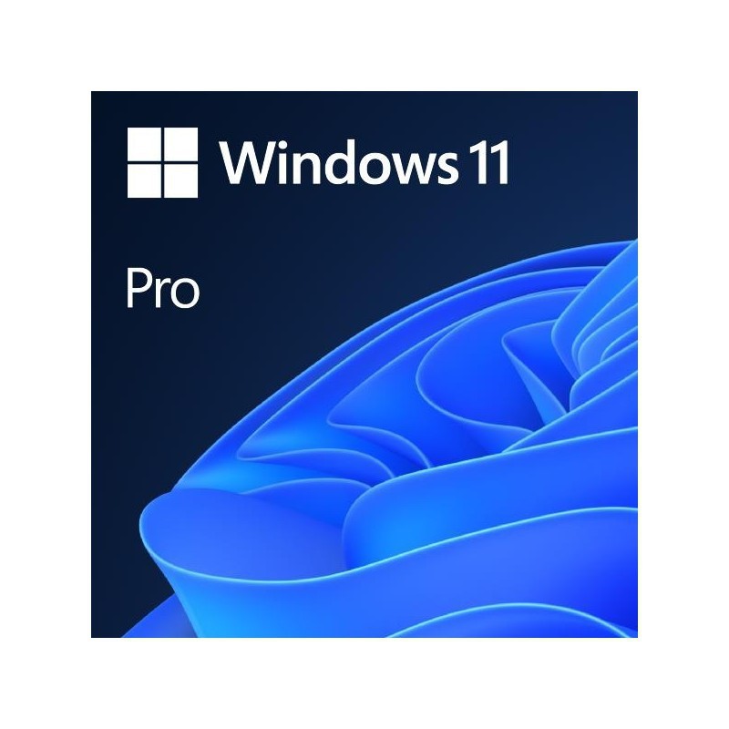 /windows-11-pro-1-pc